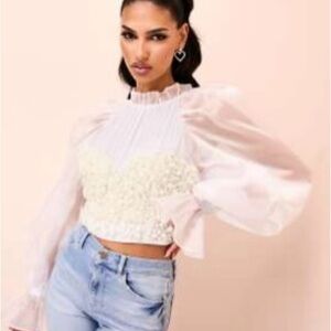 ASOS Sheer Puff-Sleeve Lace-Embellished Crop Top in Blush